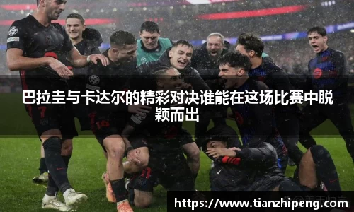 优游国际ub8